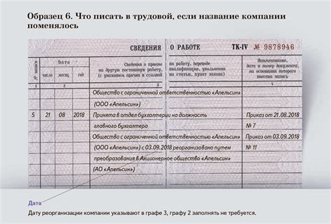 Различия между внешним совместителем и штатным сотрудником