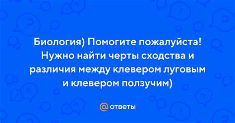 Различия между клевером луговым и ползучим