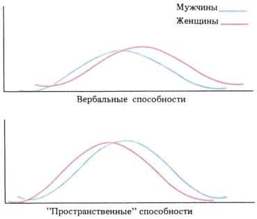 Различия между полушариями