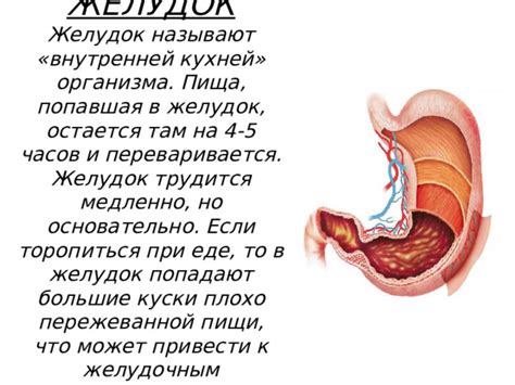 Различные истолкования сна, когда что-то попадает в желудок и их возможные значения