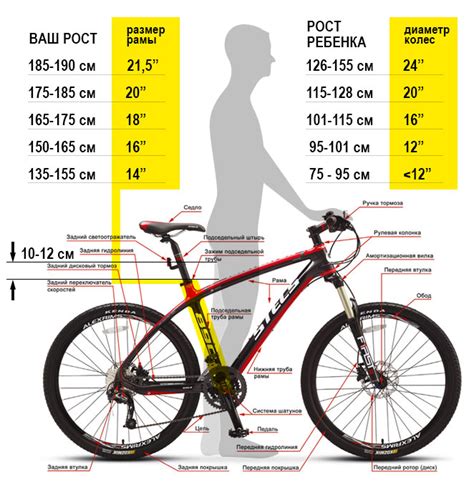 Размеры велосипеда