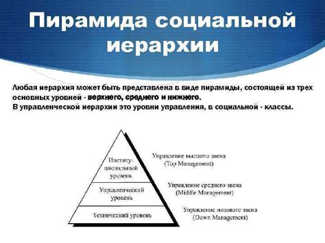 Размножение и социальная иерархия шакалов