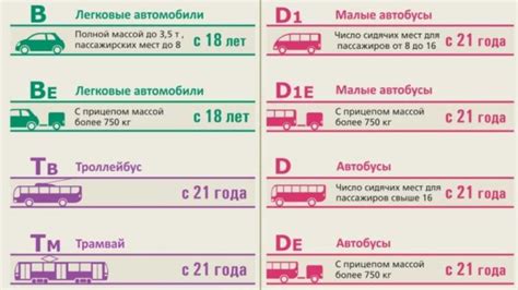 Разрешенное количество сумок на борту