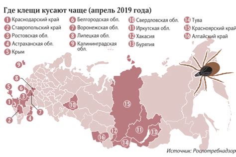 Распространение энцефалитных клещей в Калуге