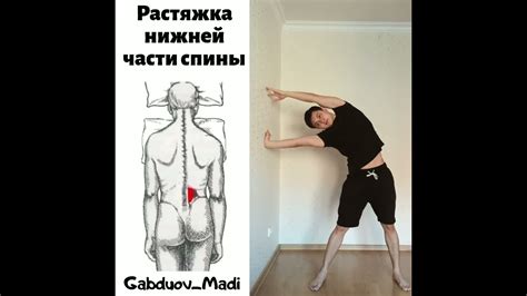 Растяжка нижней части спины для снятия боли и улучшения осанки