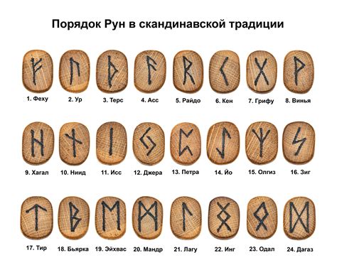 Расшифровка символов и значения снов в приложении для скрытого предсказания будущего