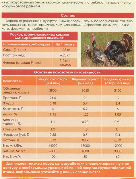 Рацион кормления индюков комбикормом