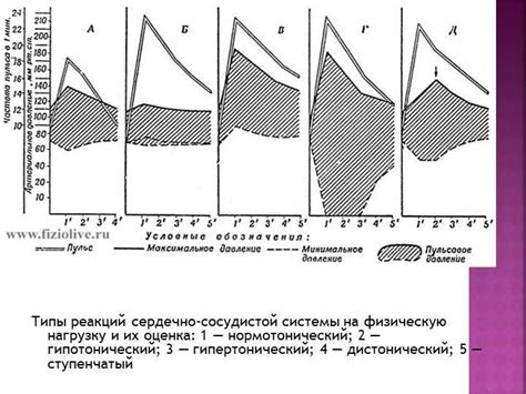 Реакция на жару и физическую нагрузку