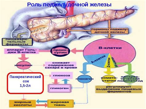 Редька и инсулин