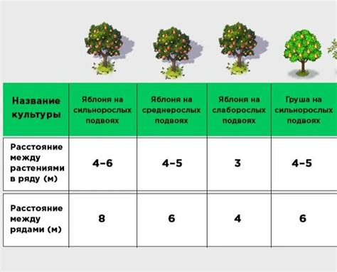 Рекомендации по выбору качественной груши