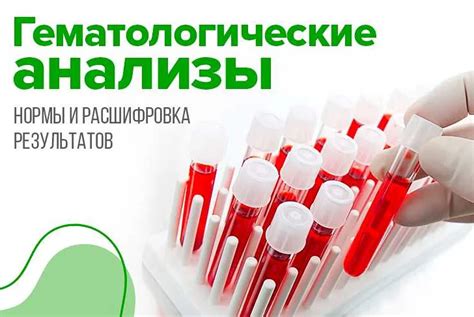 Рекомендации по применению шиповника для поддержания оптимального уровня свертываемости крови