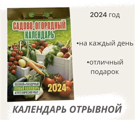 Рекомендации по уборке овощей в соответствии с лунным календарем