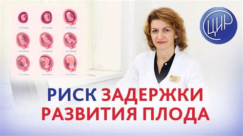 Риски для развития плода