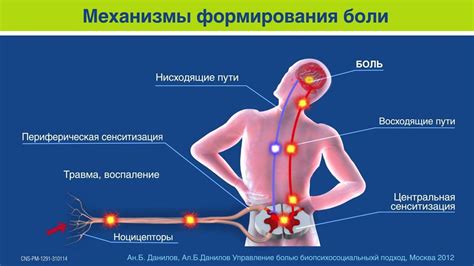 Риск развития боли в сосудах ног