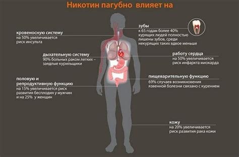 Риск развития зависимости и пагубное влияние на органы