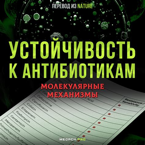 Риск развития устойчивости к антибиотикам