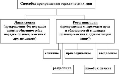 Роли и функции юридических лиц в правоотношениях