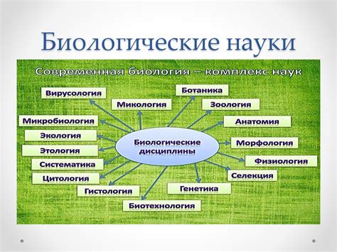 Роль биологических знаний в понимании психических процессов