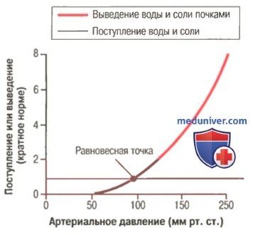 Роль магнезии в регуляции давления