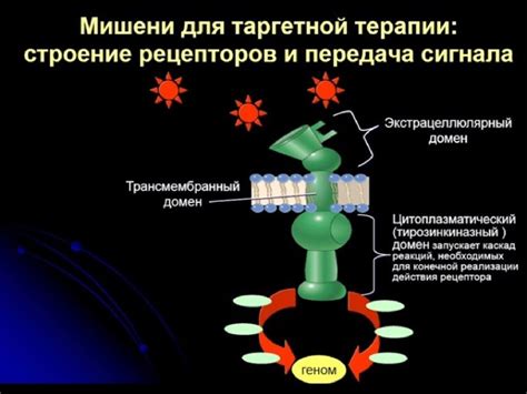 Роль медицинских и генетических исследований