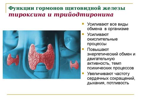 Роль факторов окружающей среды в уменьшении щитовидки