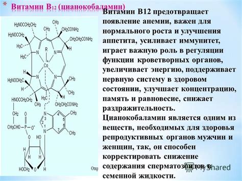 Роль шоколада в регуляции аппетита