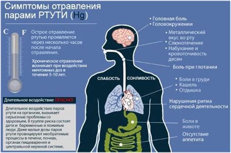 Ртуть - крайне опасное вещество!