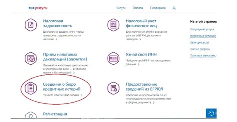 Руководство по обнулению кредитной истории через портал госуслуг