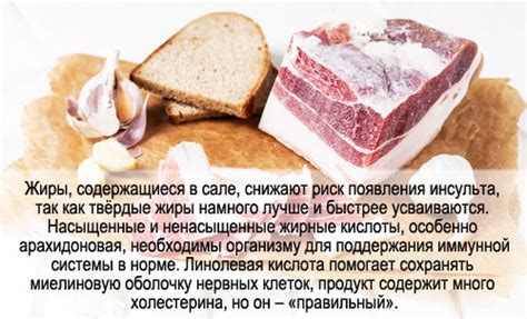 Сало: основные свойства и состав продукта