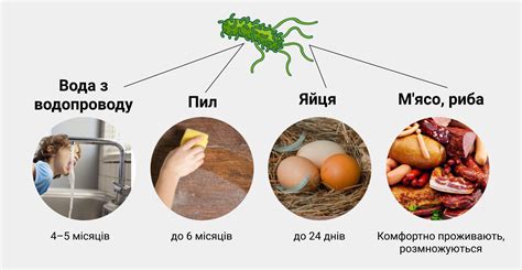 Сальмонеллез и яйца: связь или случайность?