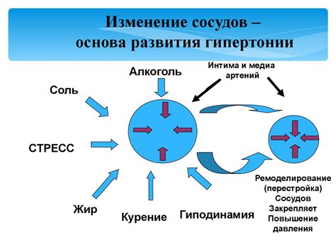 Сахар и развитие гипертонии