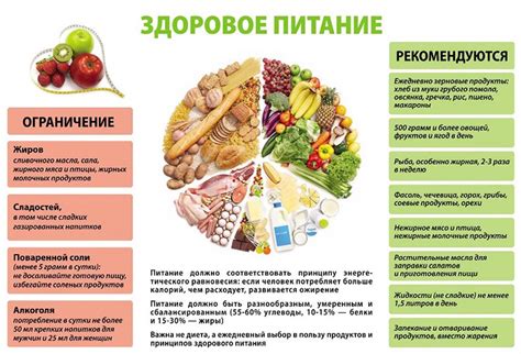 Сбалансированное питание: исследования и рекомендации