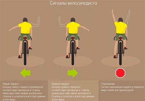 Сбережение окружающей среды при передвижении на велосипеде