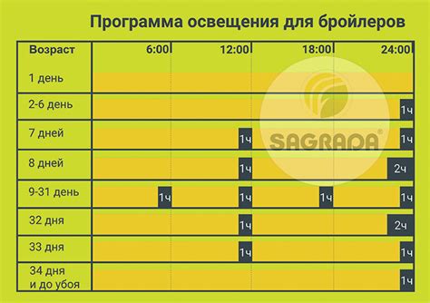 Световой режим для свиней разного возраста