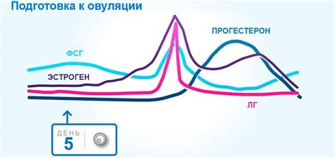 Связь между болями в груди при овуляции и беременностью