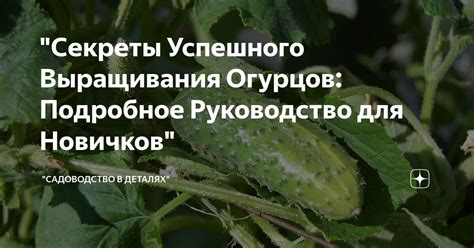 Секреты успешного подкармливания