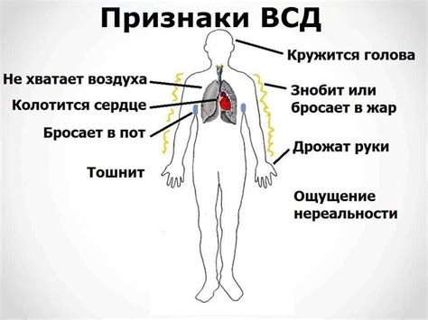 Сердечно-сосудистая дистония: можно ли употреблять энергетики?