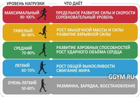 Силовые нагрузки и физические показатели