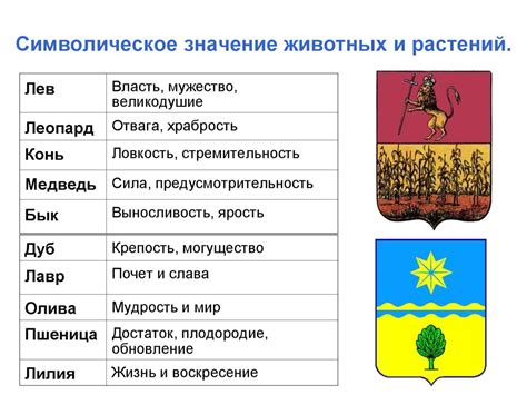 Символическое значение цветов на отпевание