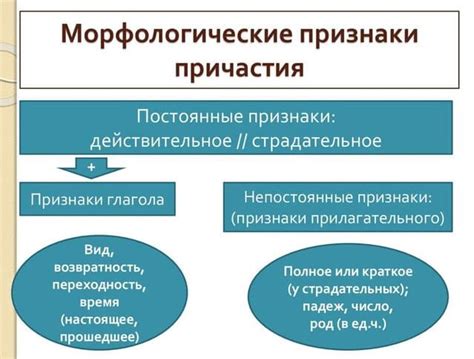 Символичность причастия