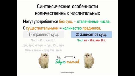 Синтаксические особенности фразы