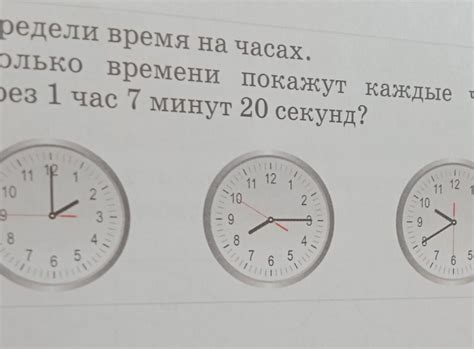 Сколько времени нужно ждать перед выходом на прогулку