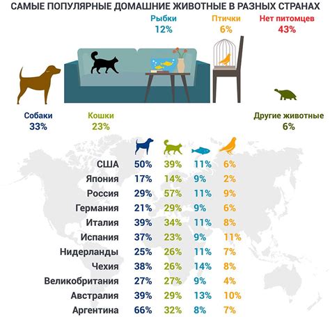 Сколько кошек в сновидении: значение числа