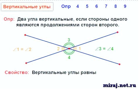 Смежные углы: вертикально противоположные или нет?