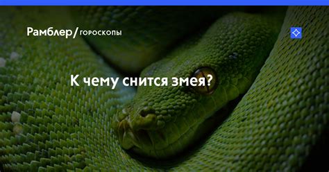 Смысл сна о технической сущности змей