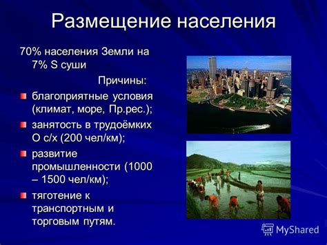 Сновидения о свежем пристанище: подсознательное тяготение к ускользающей повседневности