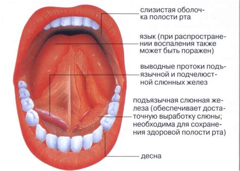 Сны с осколками в полости рта: что они могут означать