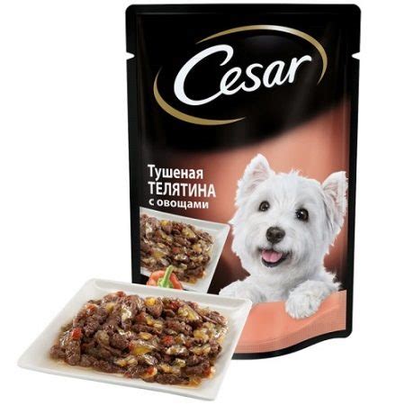 Собачий организм и преимущества корма Cesar