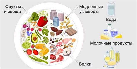 Советы и рекомендации диетологов по употреблению маринованных грибов в период грудного вскармливания