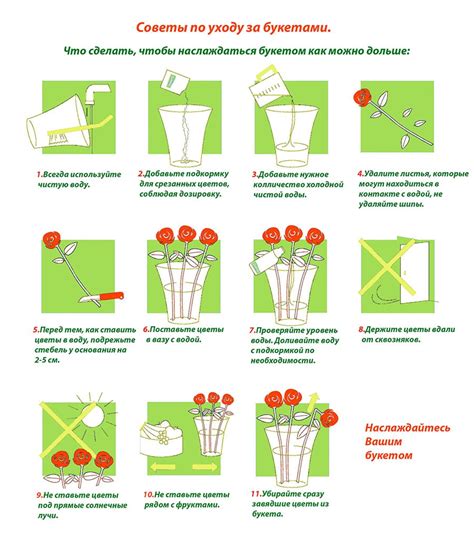 Советы по уходу за цветами в спальне